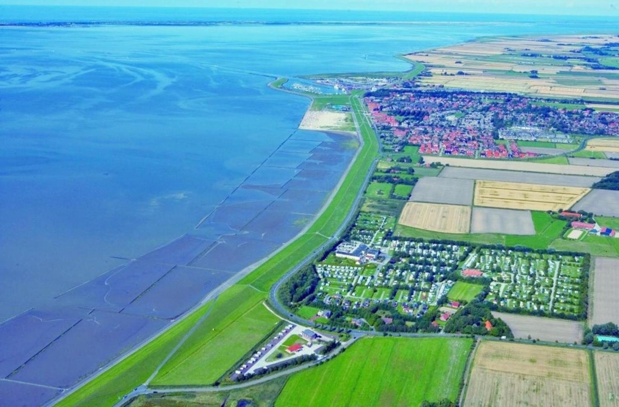 Grosse Nordseewelle Ohne Hund นอร์เดน ภายนอก รูปภาพ
